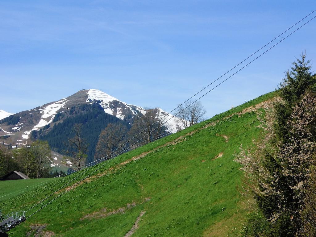 Apartament Haus Bergheim Saalbach-Hinterglemm Zewnętrze zdjęcie